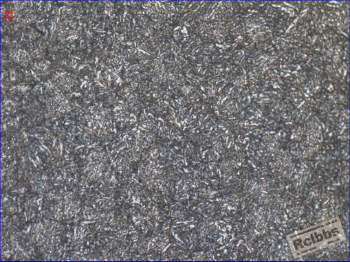 500X 65Mn.jpg