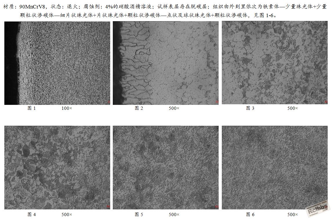 90MnCrV8.退火组织