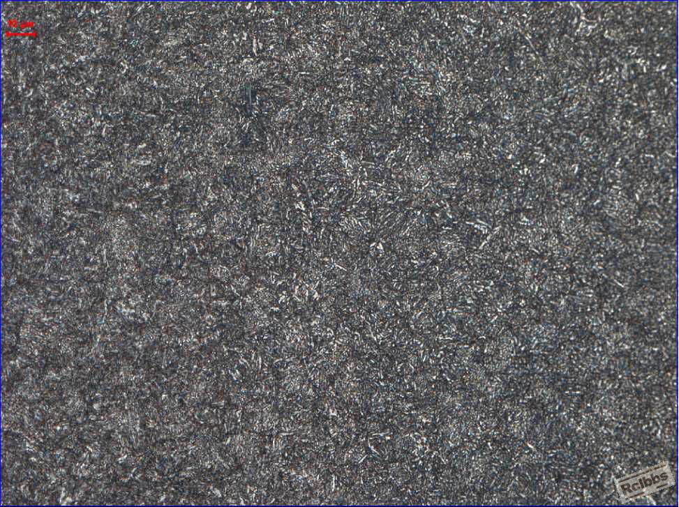 200X 65Mn.jpg