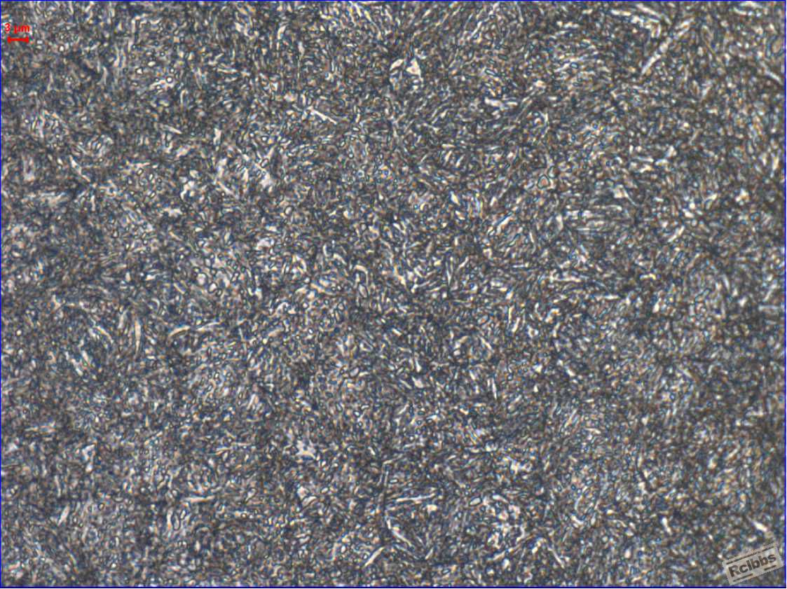 500X 65Mn.jpg