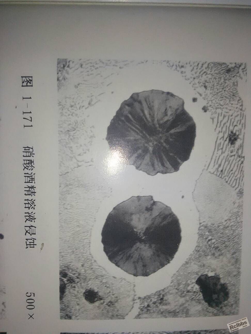 221130yibebgzxy7rl7e7e.jpg