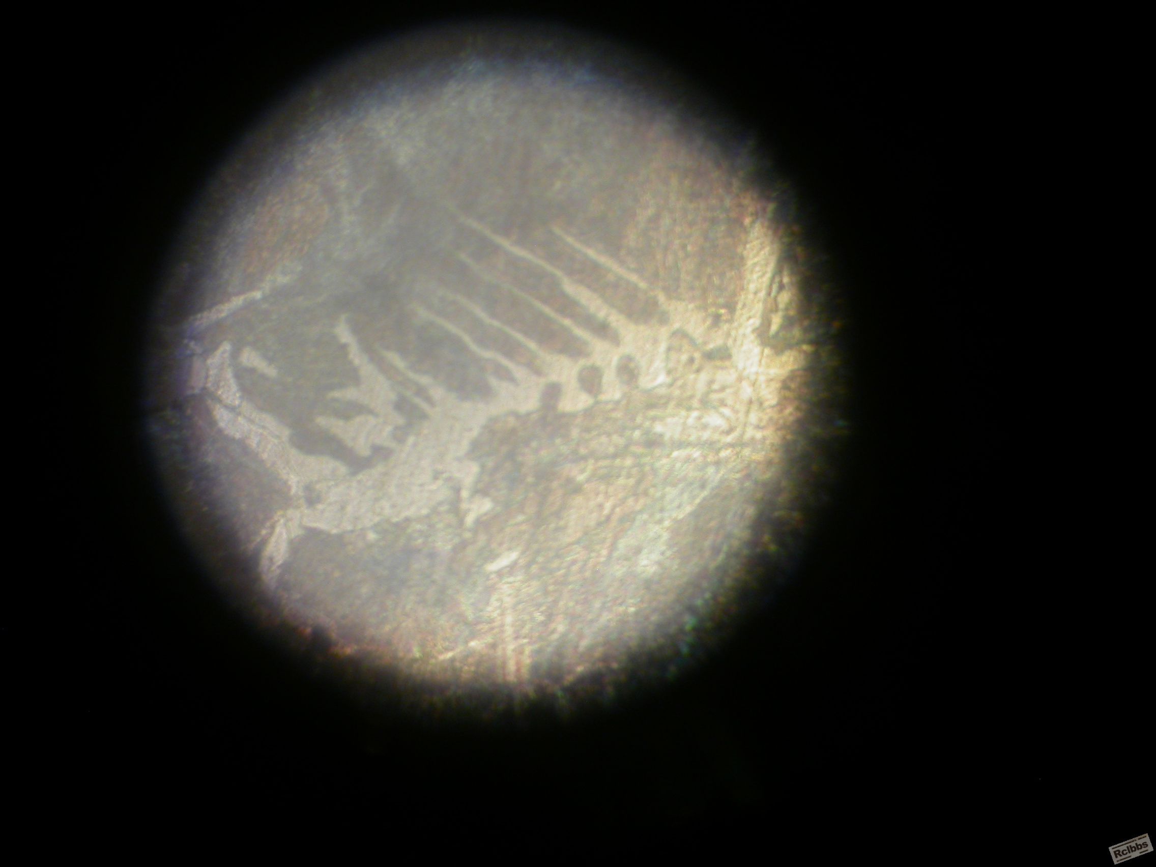 DSCN0640.JPG