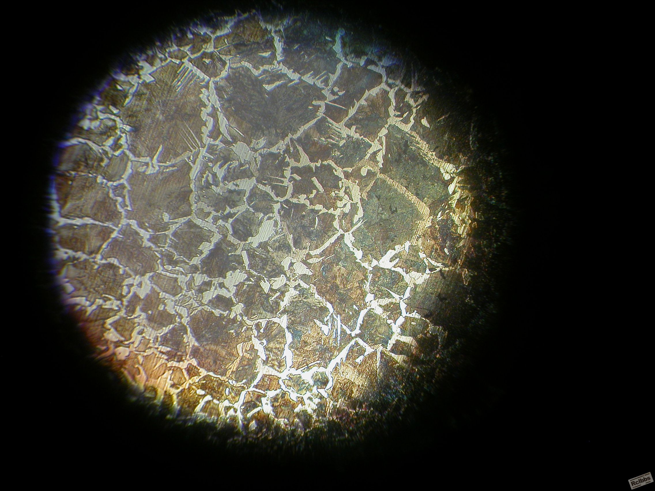 DSCN0642.JPG