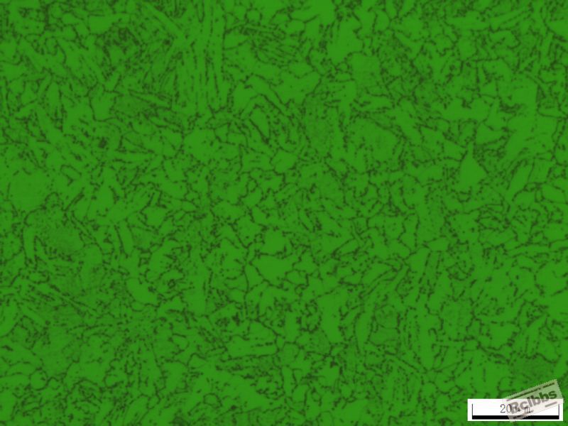 062E6780-ADAF-4B3F-BDE0-B9E83B30E9C2.JPG