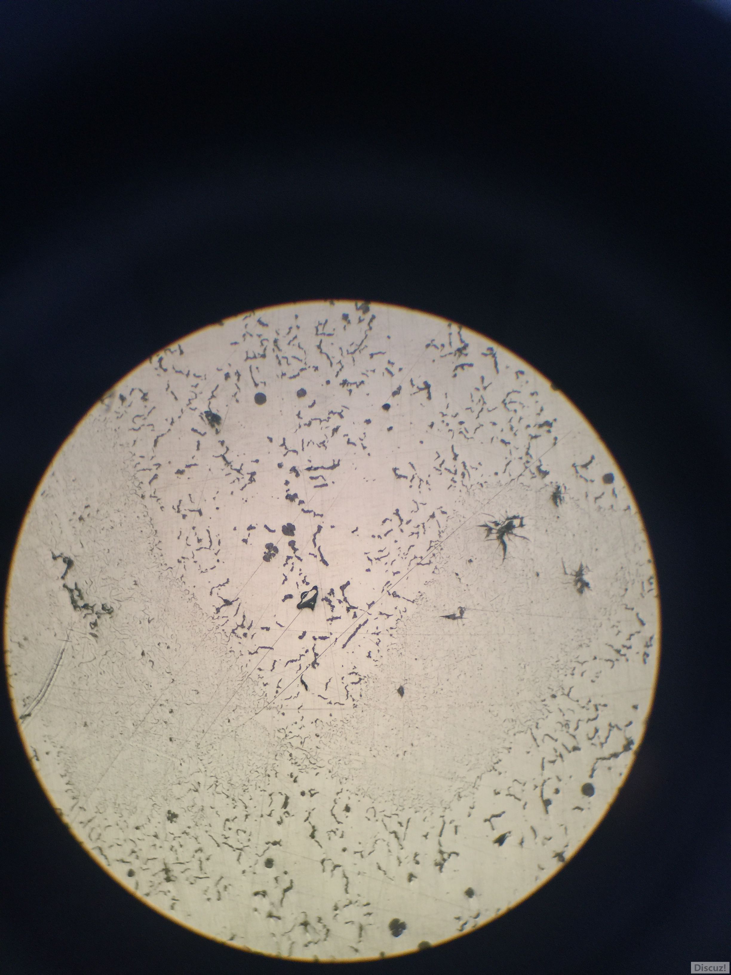 球墨铸铁的不明组织