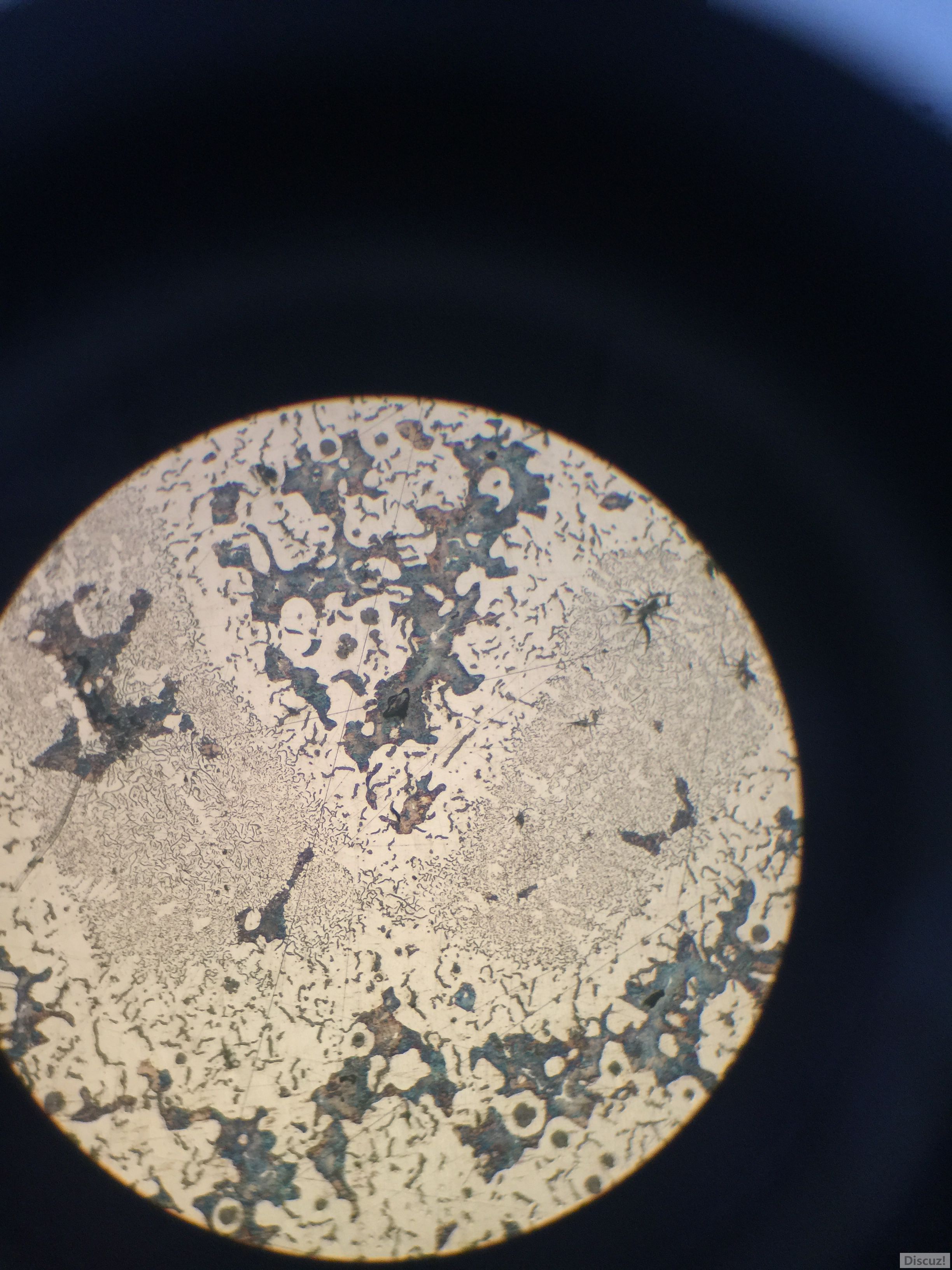 4%硝酸腐蚀100X