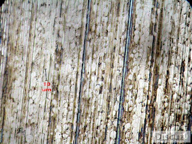 0IMG_9872.jpg