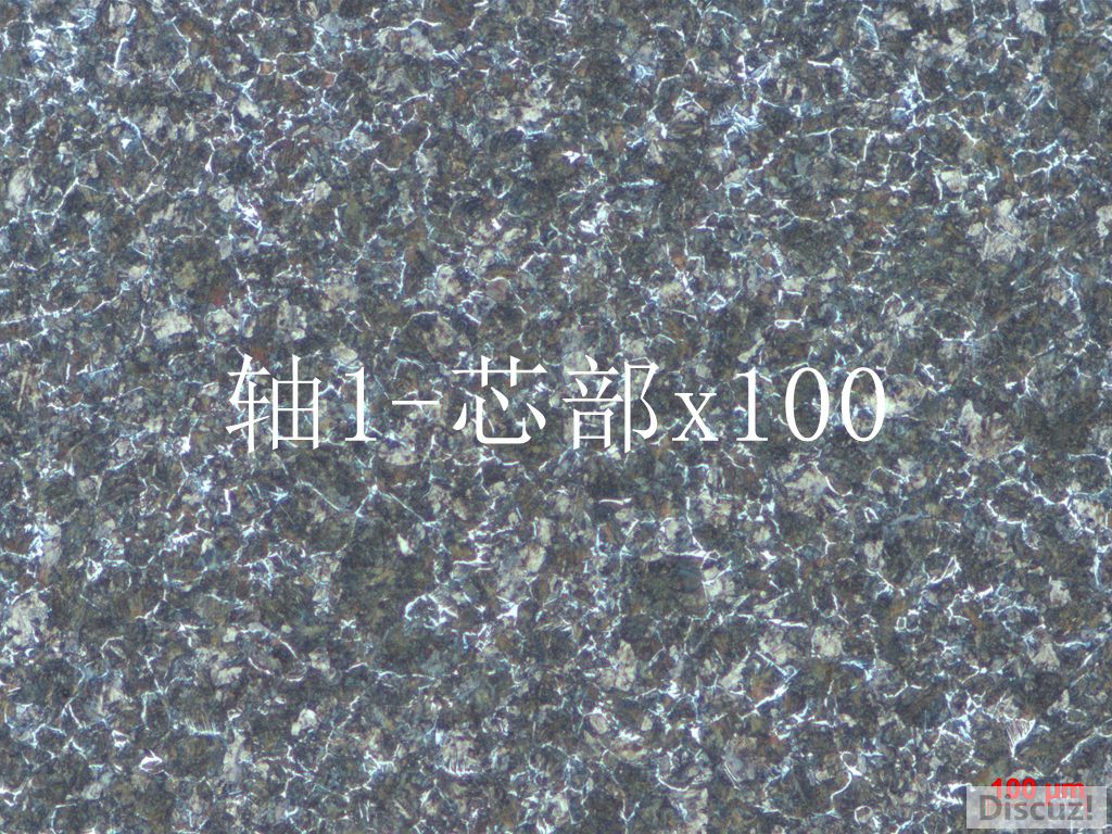 1.心部100.jpg