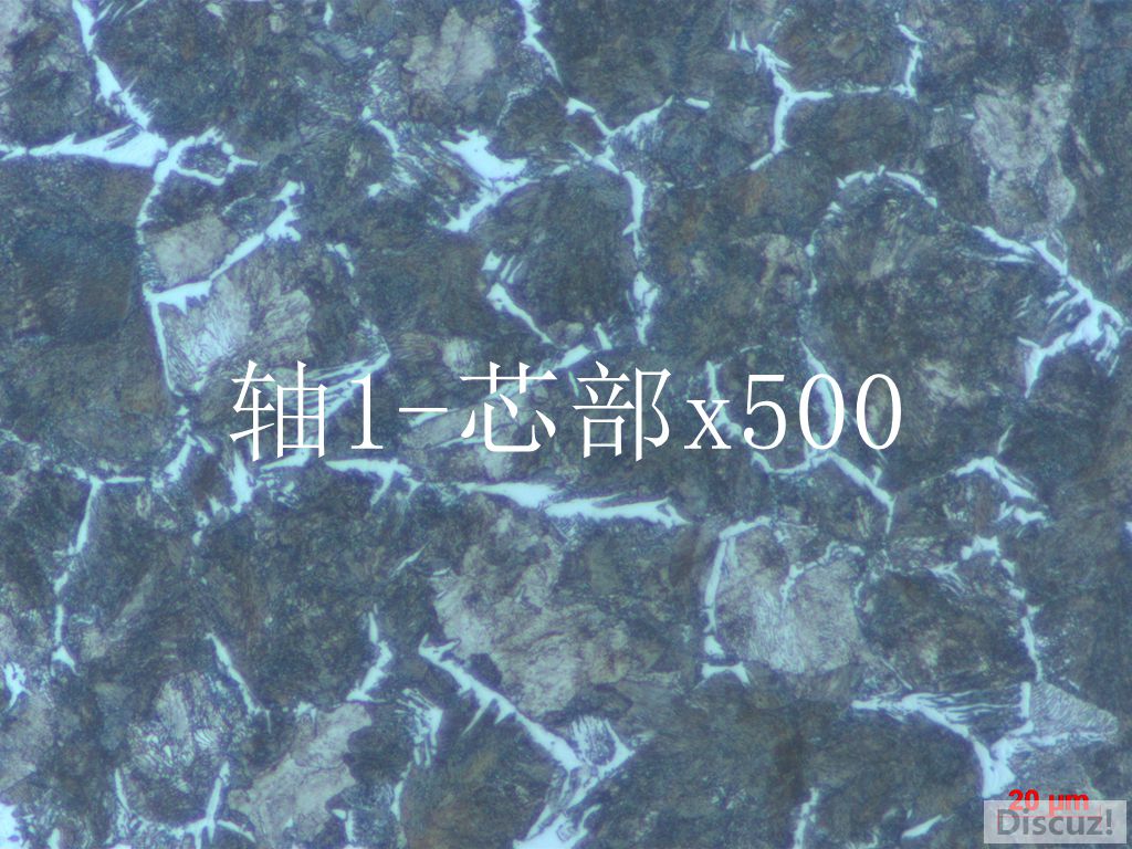 1.心部500.jpg