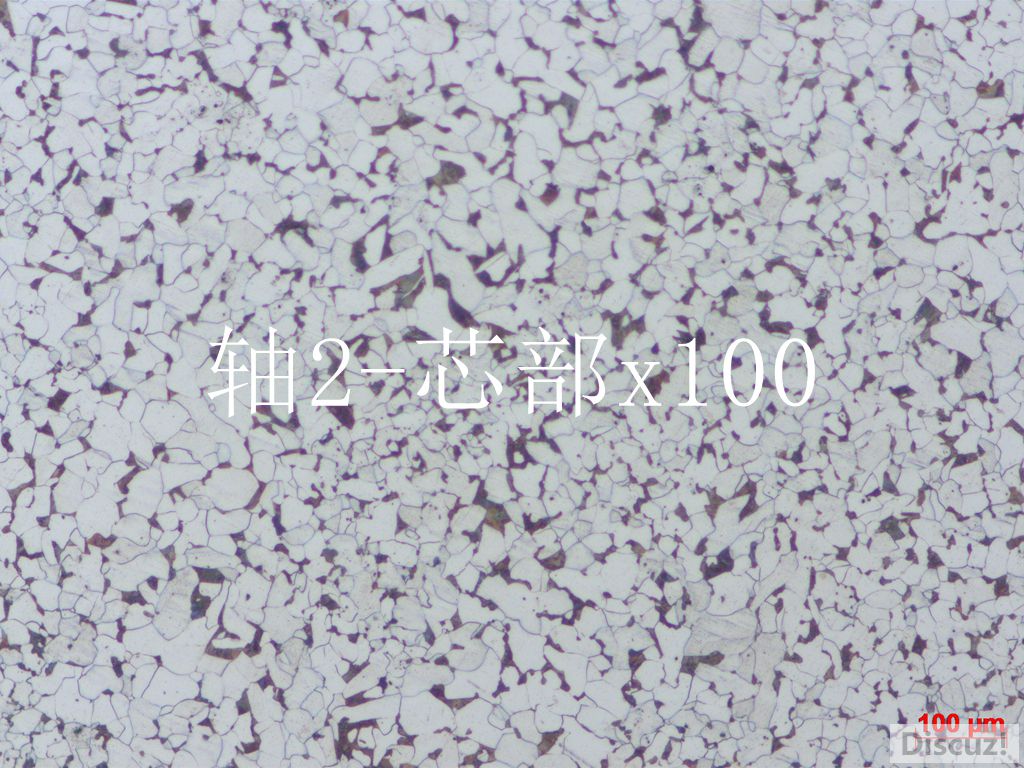 2.心部100.jpg