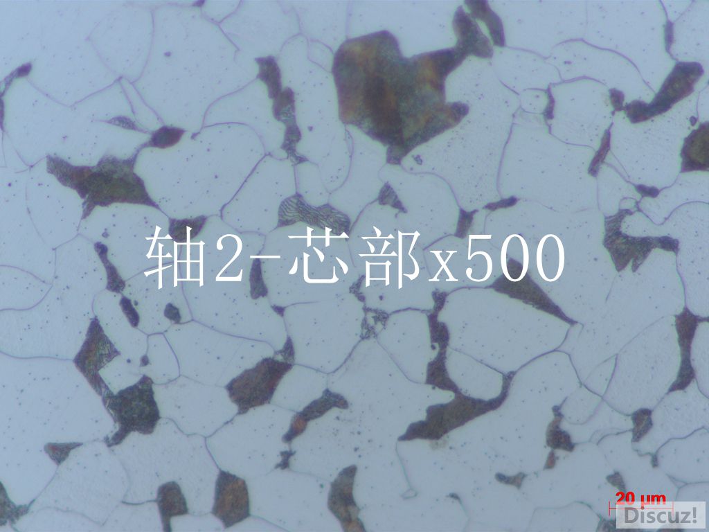 2.心部500.jpg