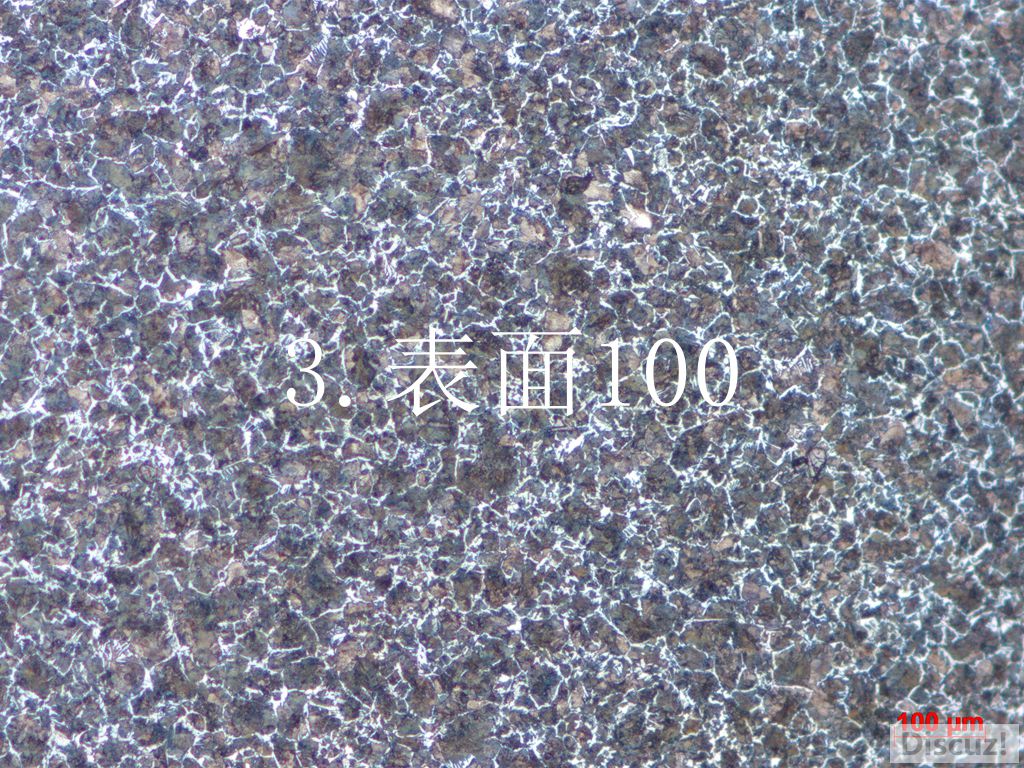 3.表面100.jpg
