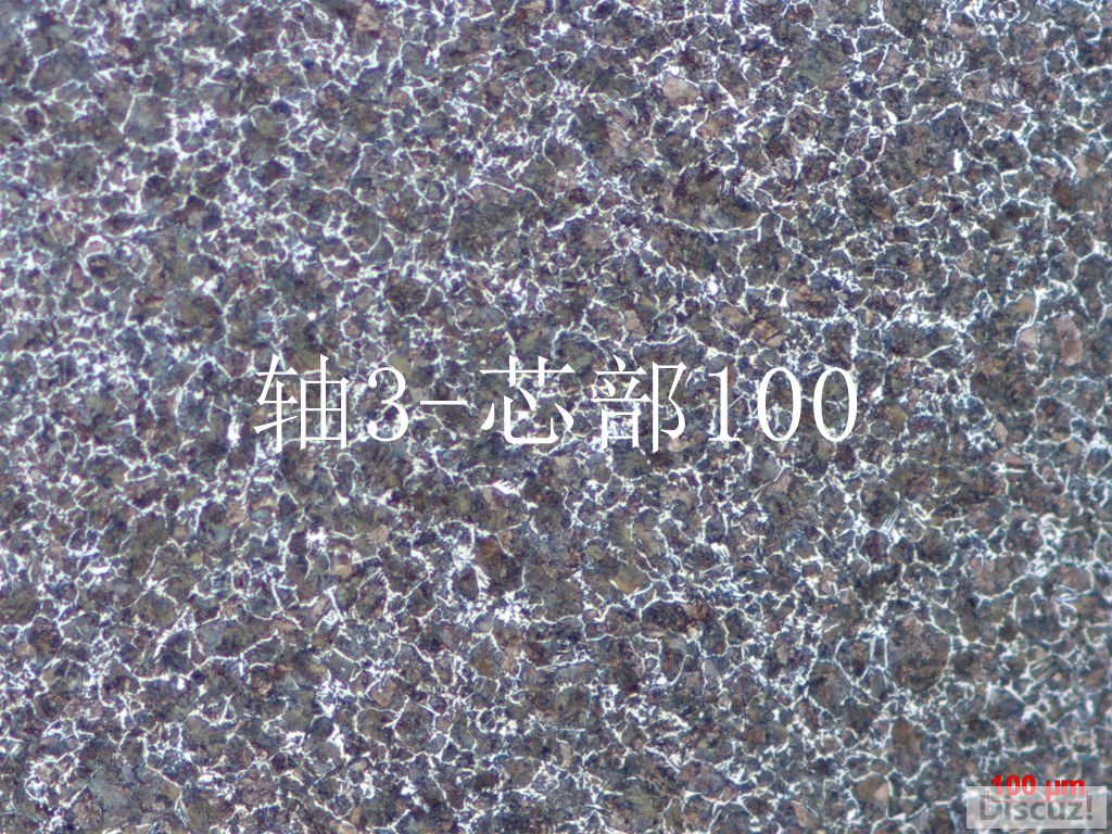 100-1心部_副本.jpg