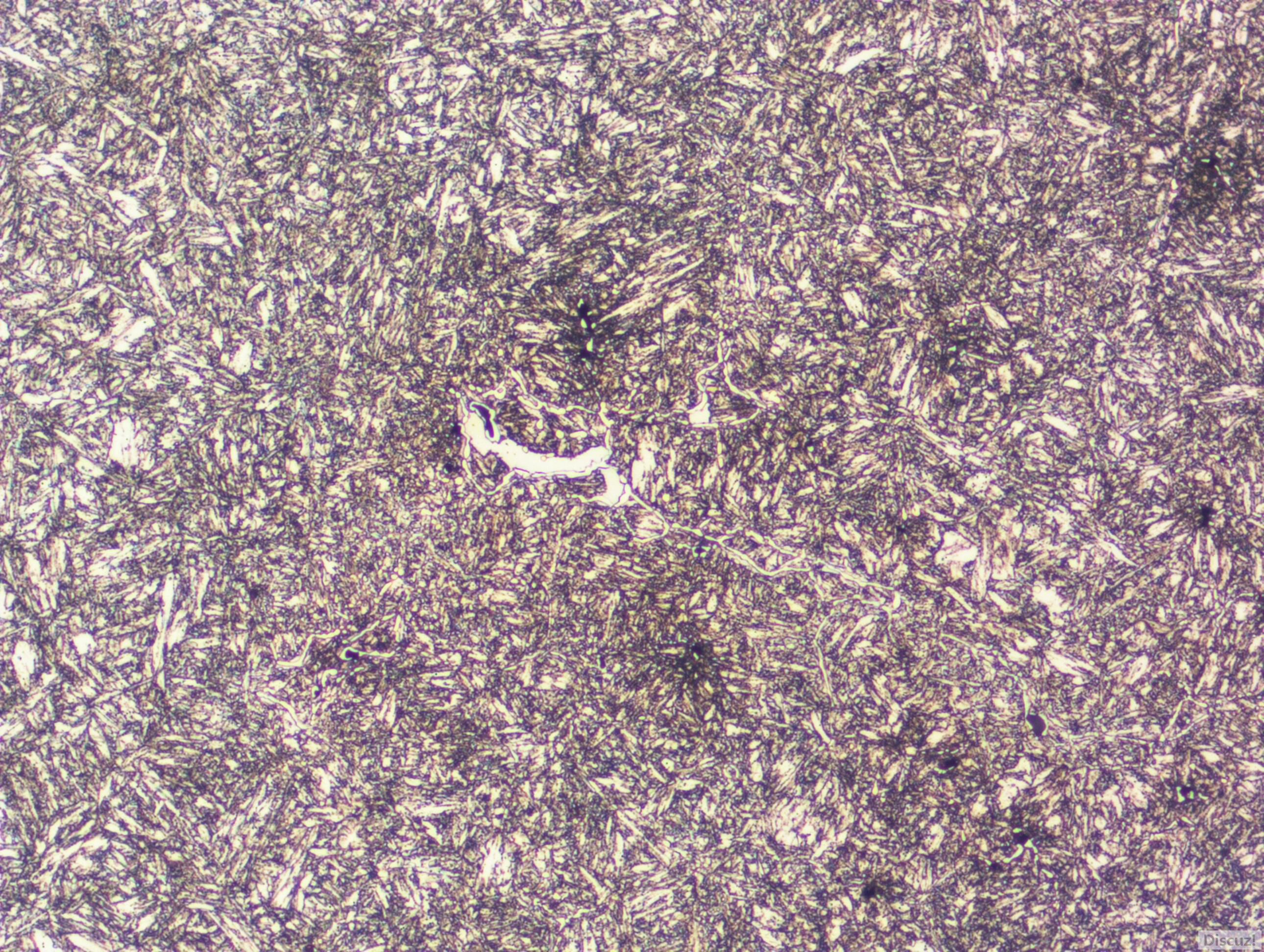 200x2170823_0012.JPG