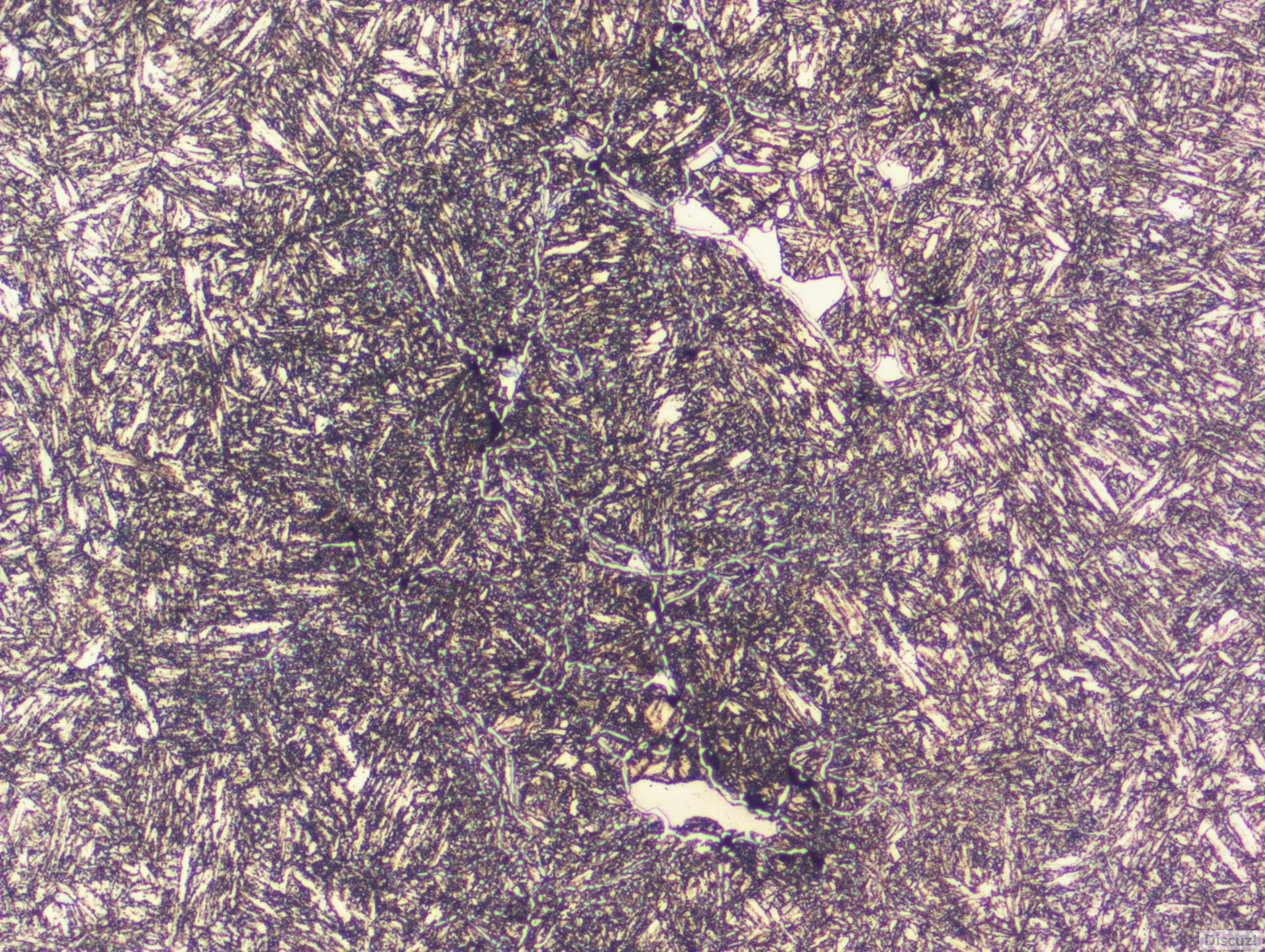 200x2170823_002.JPG