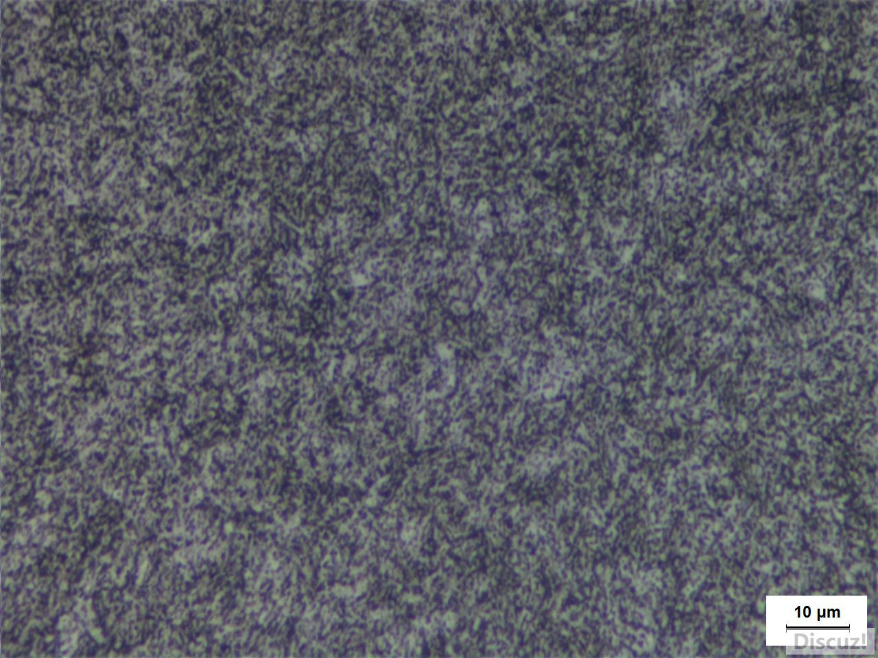 SNCM439-2.JPG