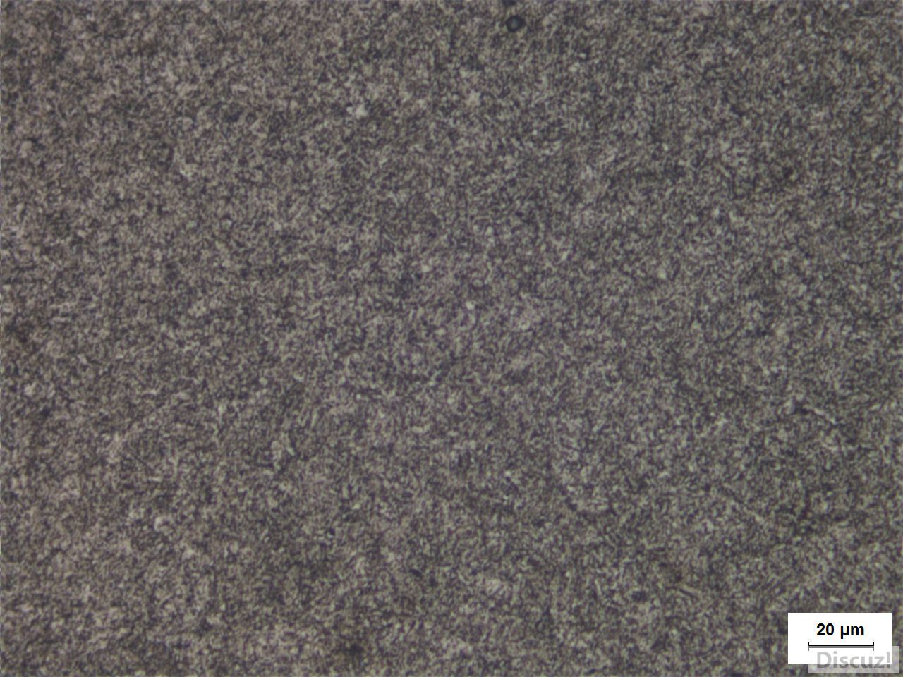 SNCM439-1.JPG
