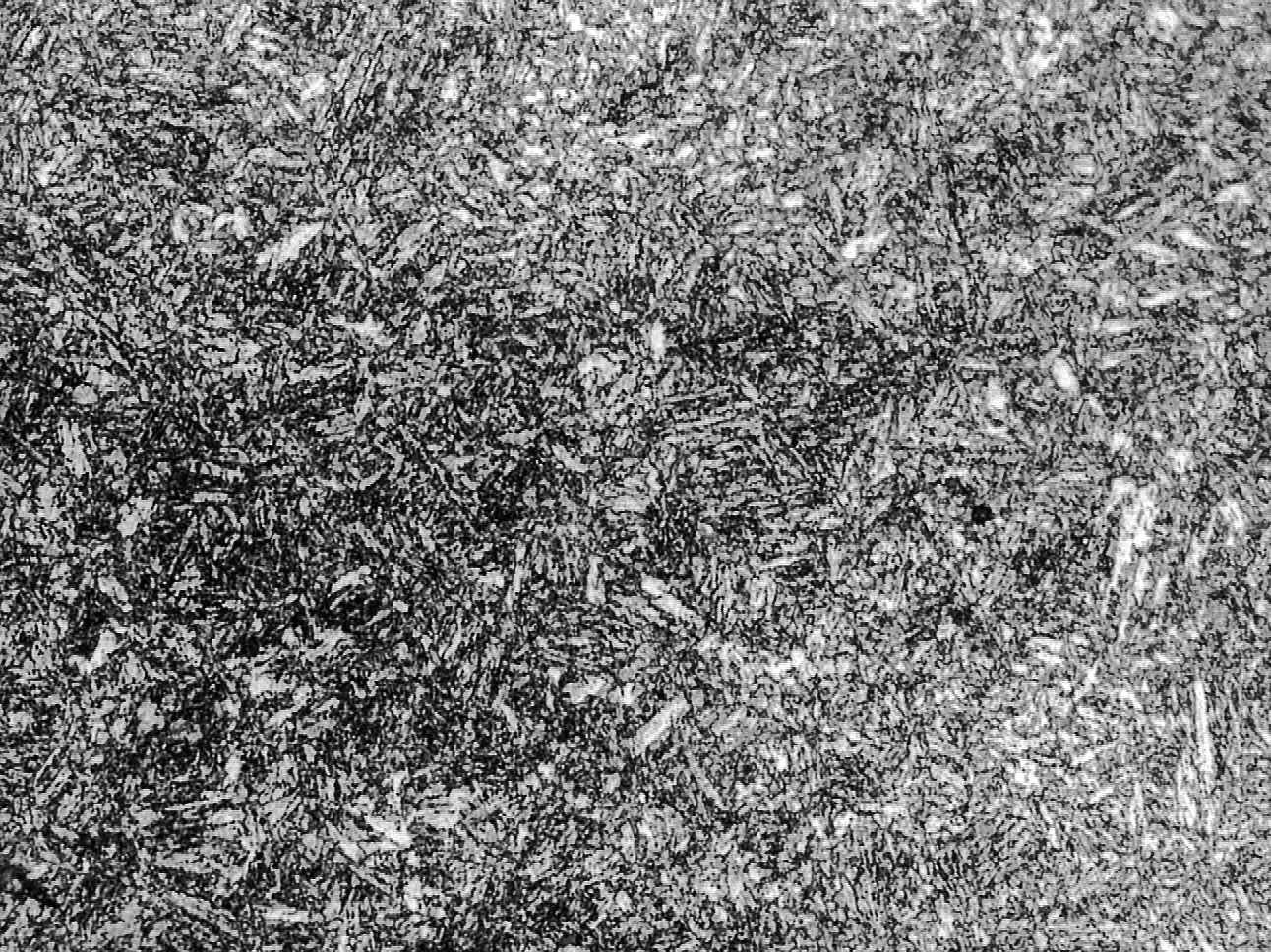 淬火 高温回火-1000X（水淬）.jpg