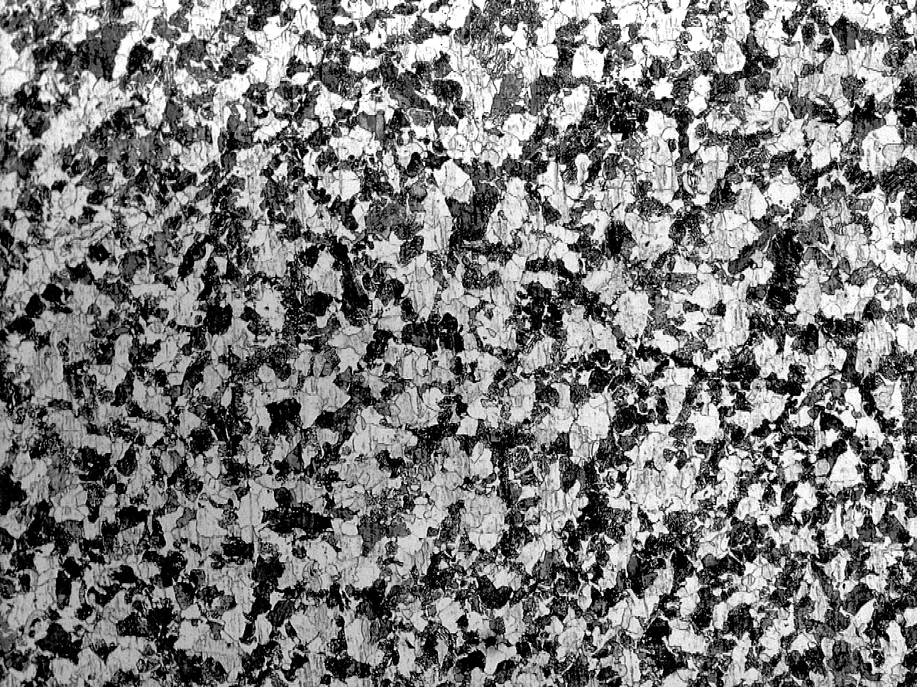 退火-200X.jpg