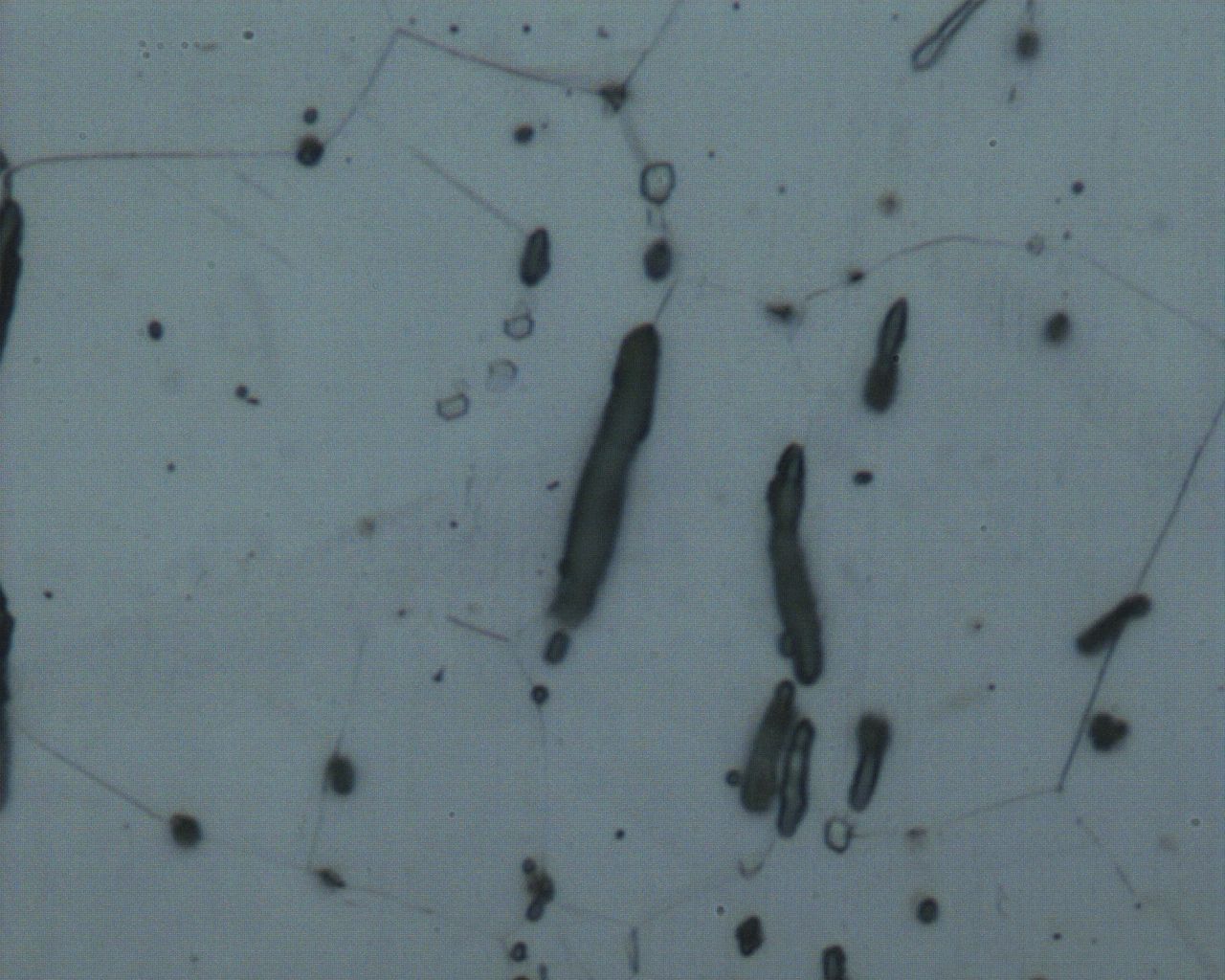 纵向1000X