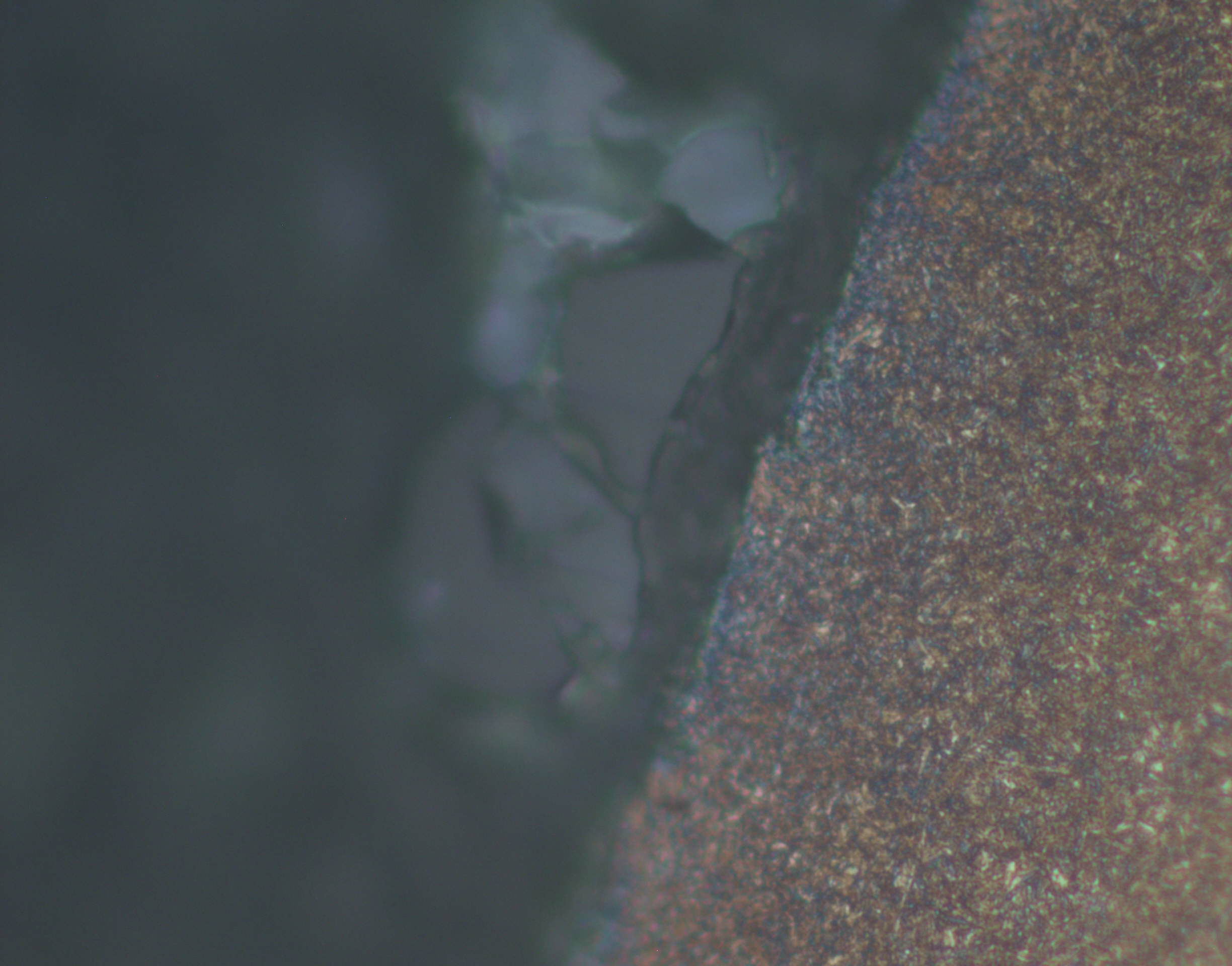2#表面组织500X