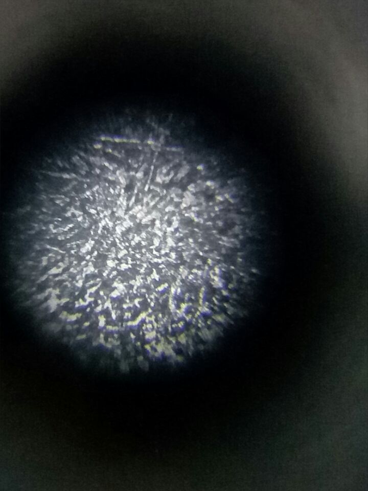 32C7CC6A00867D7FB5ADA8E0C0B6963E.jpg