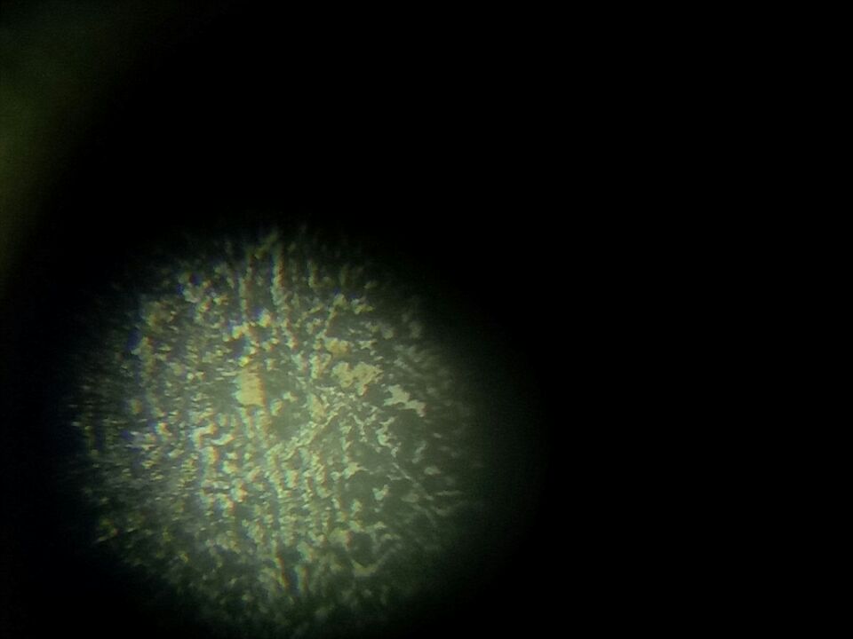 E067A603FDAAE3CCBCBB710E336C5D10.jpg