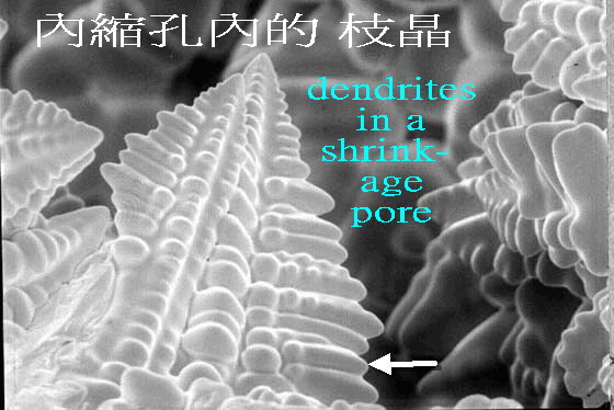 D Dendrite 3D A.jpg