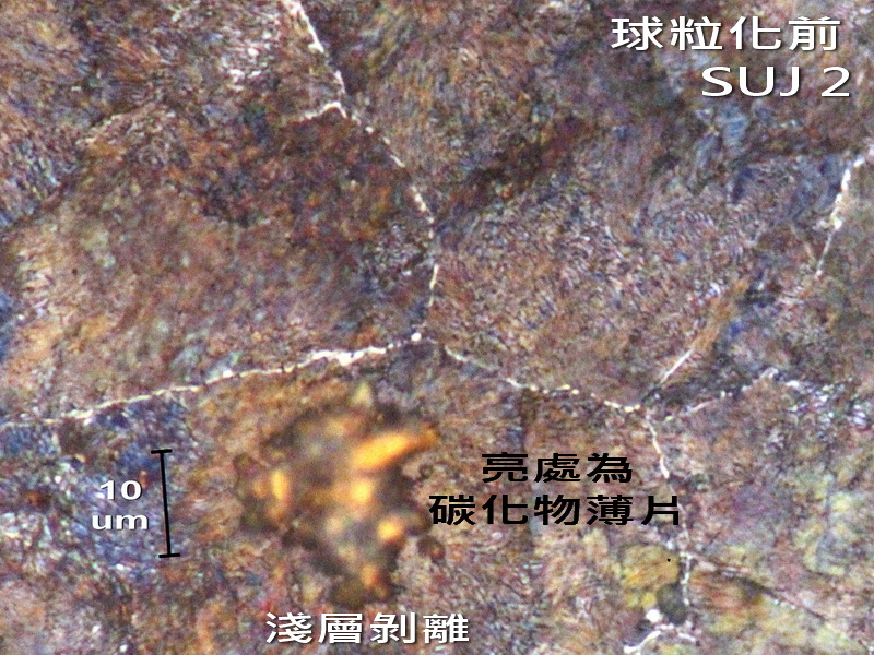 aIMG_1158a.jpg