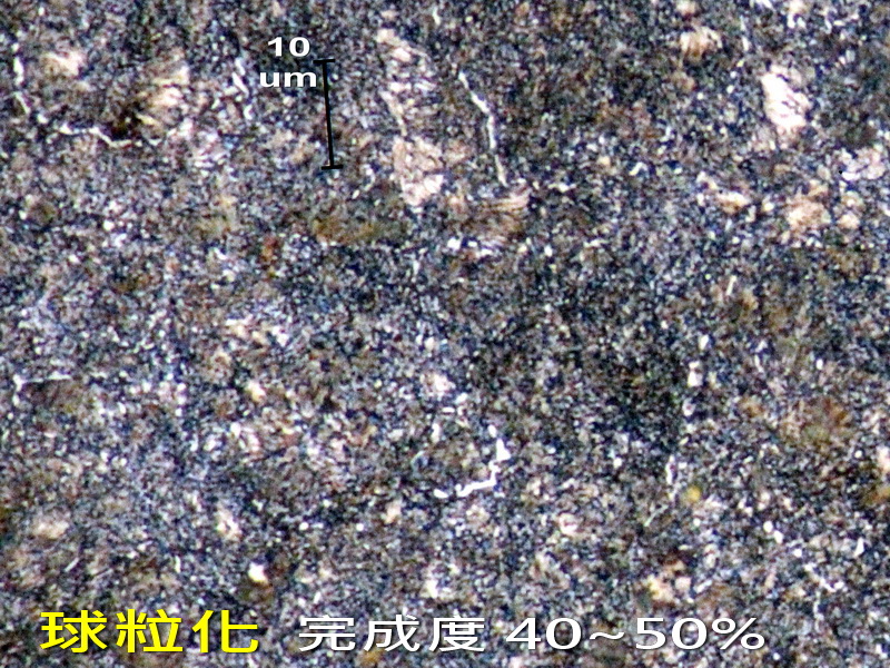 0IMG_1131.jpg
