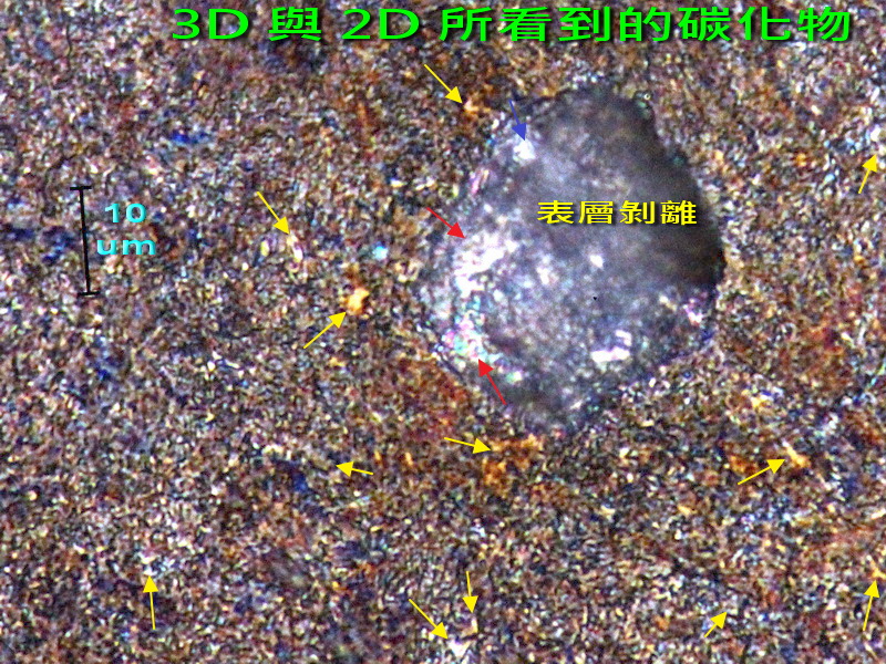 aIMG_1174.jpg