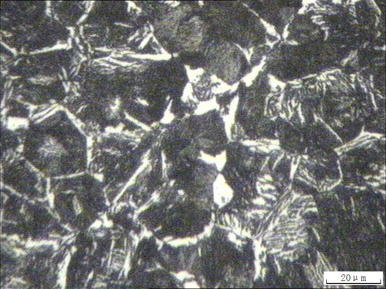 500x