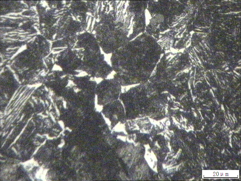 500x