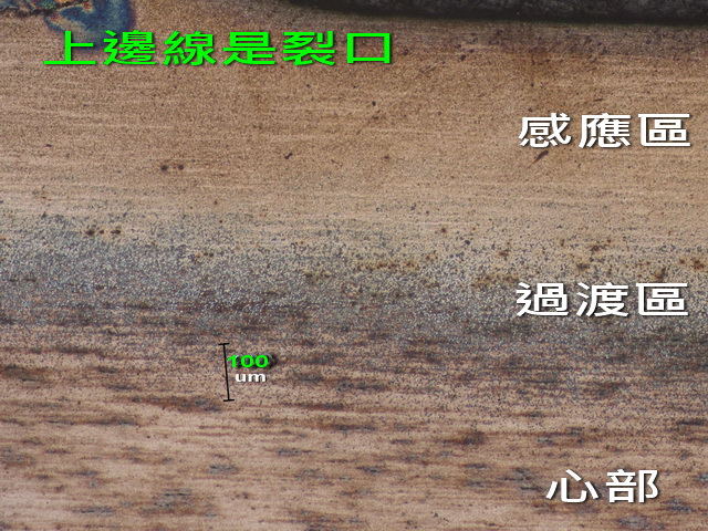 00 IMG_1194a.jpg