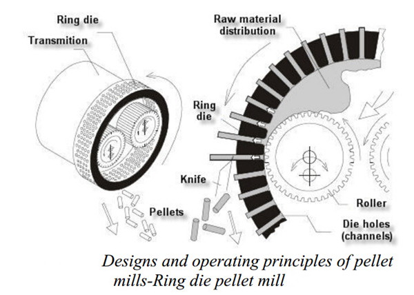 ring.jpg