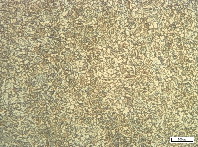 100倍金相组织