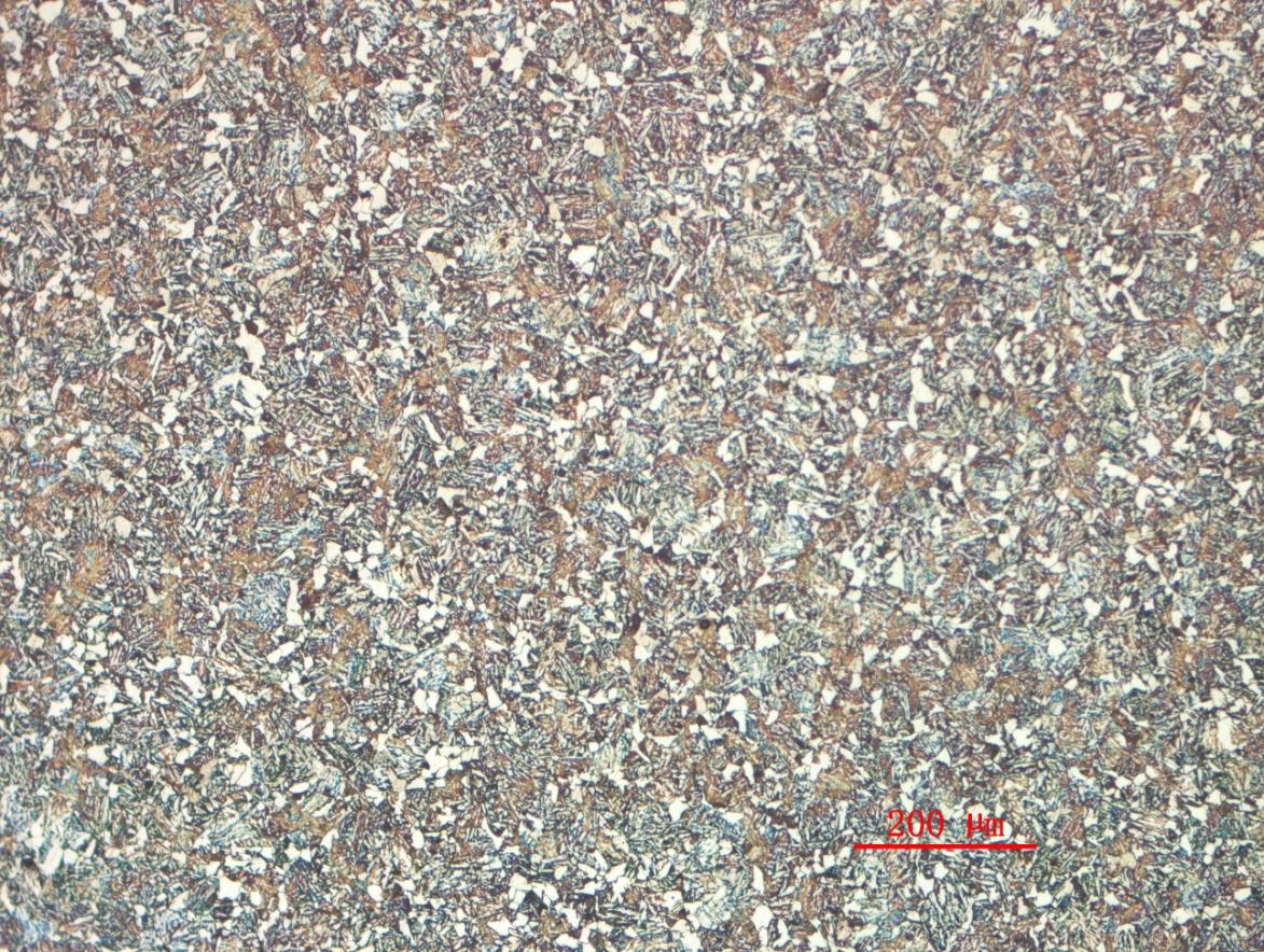 20CrMo__32mm热轧圆钢组织__100X.JPG