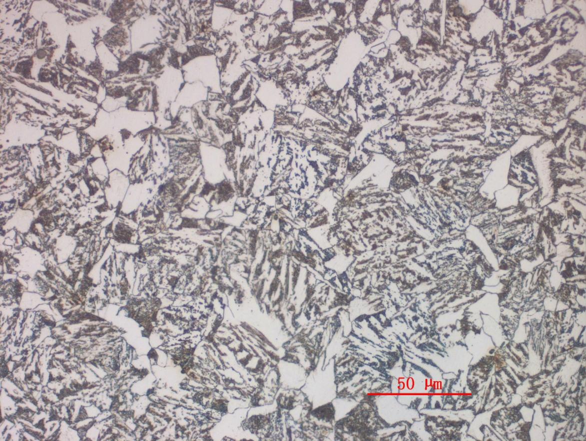 20CrMo__32mm热轧圆钢组织__500X.JPG