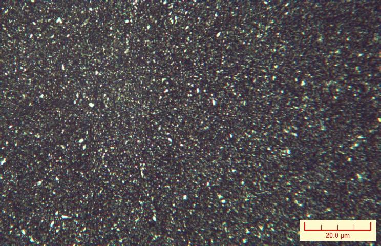 X100-003.jpg