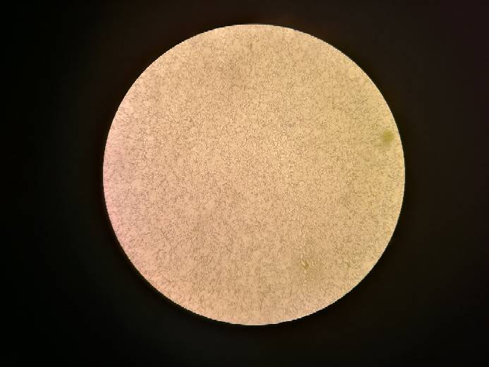103856nfnshosnusqzc1qn.jpg
