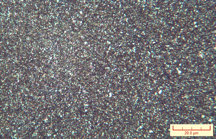 X100-001.jpg
