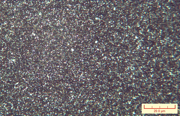 X100-002.jpg