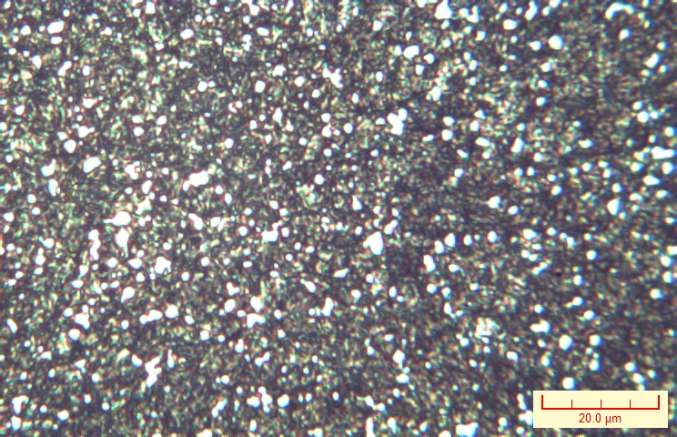 X500-002.jpg
