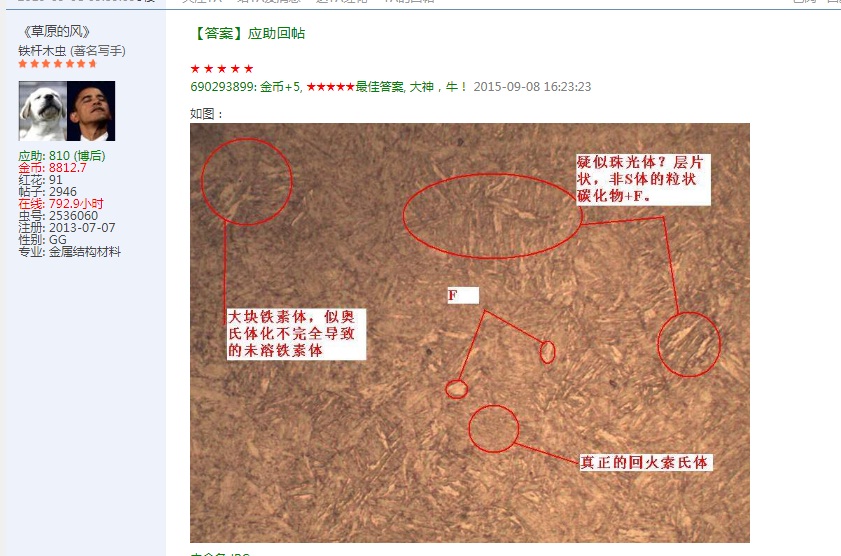草原的风.jpg