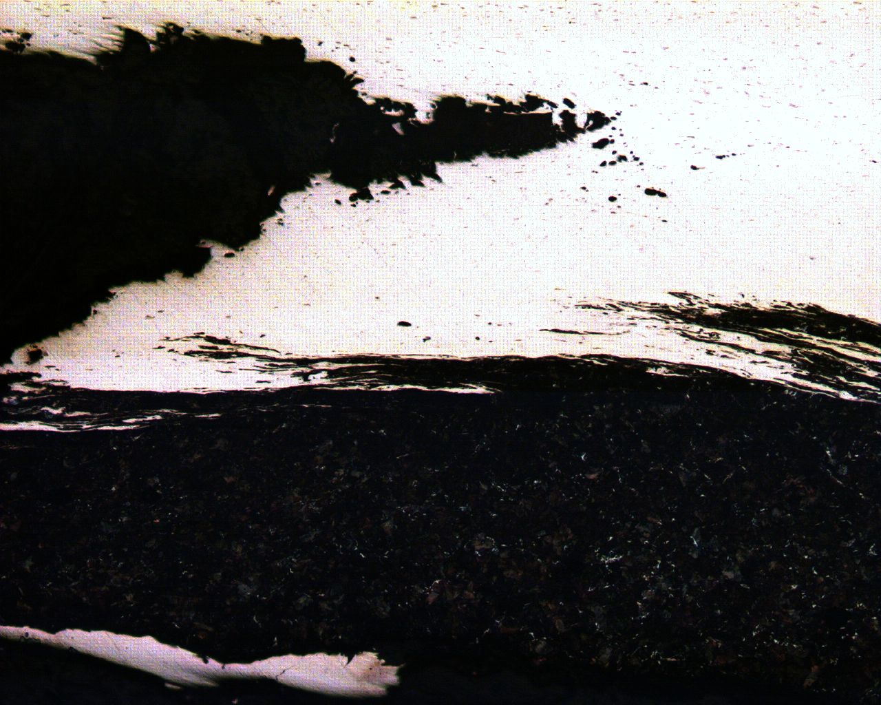 02-100X.JPG