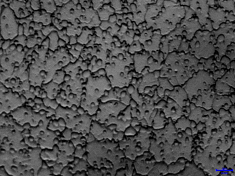 NO.005X1000.jpg
