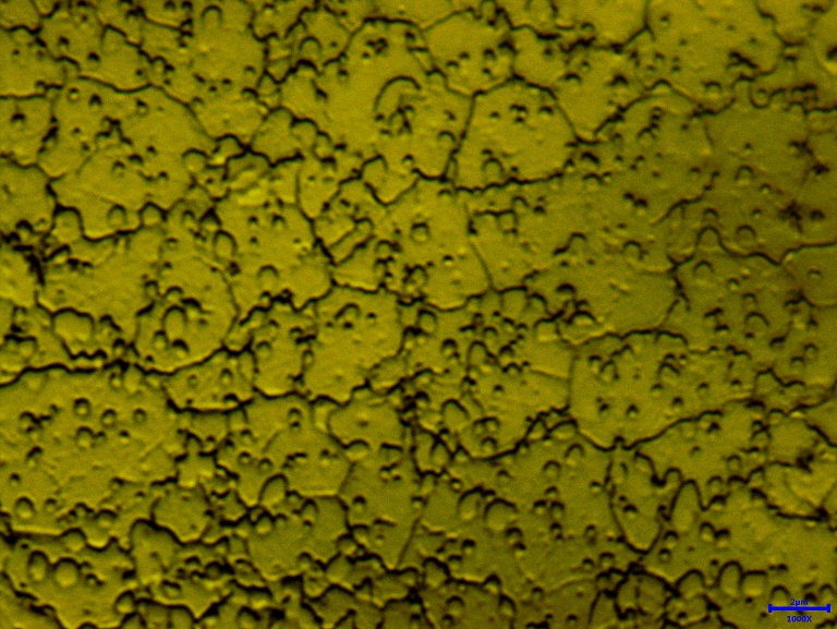 NP.005X1000.jpg