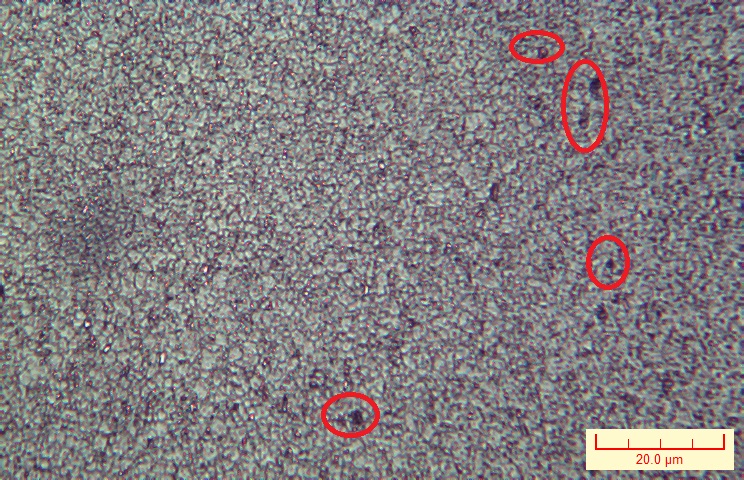 NO.006X100.jpg
