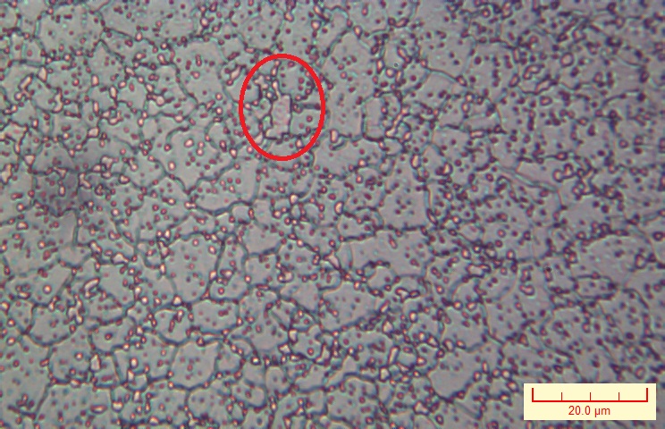 NO.006X500.jpg