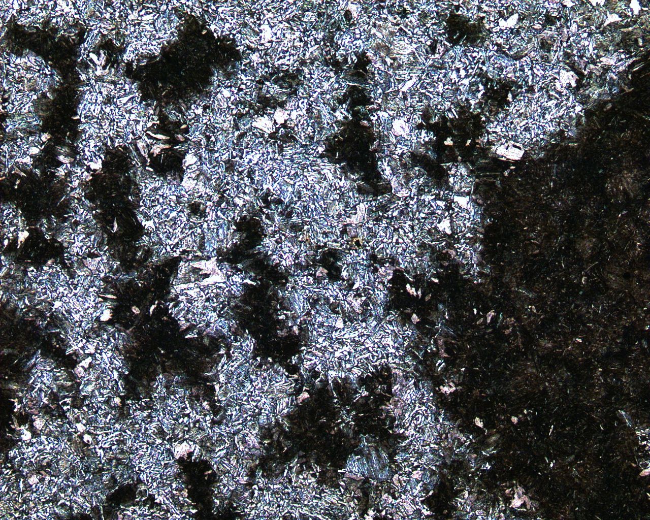 心部-100X